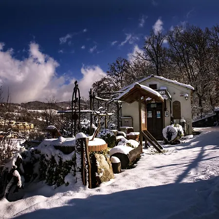 Nel Bosco - Tenuta Bocchineri Rogliano