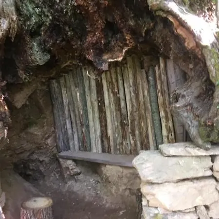 Nel Bosco - Tenuta Bocchineri * Rogliano