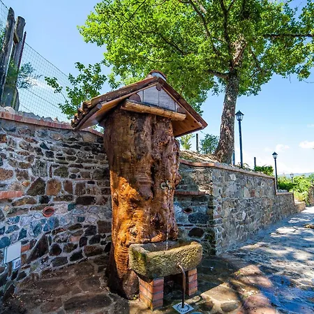 Nel Bosco - Tenuta Bocchineri Rogliano