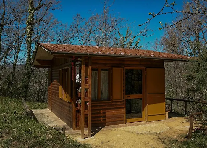 Nel Bosco - Tenuta Bocchineri * Rogliano