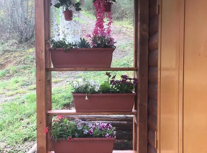 木屋 Nel Bosco - Tenuta Bocchineri *