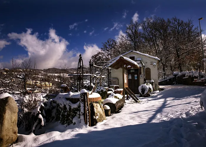 Nel Bosco - Tenuta Bocchineri Rogliano