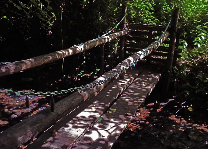 木屋 Nel Bosco - Tenuta Bocchineri