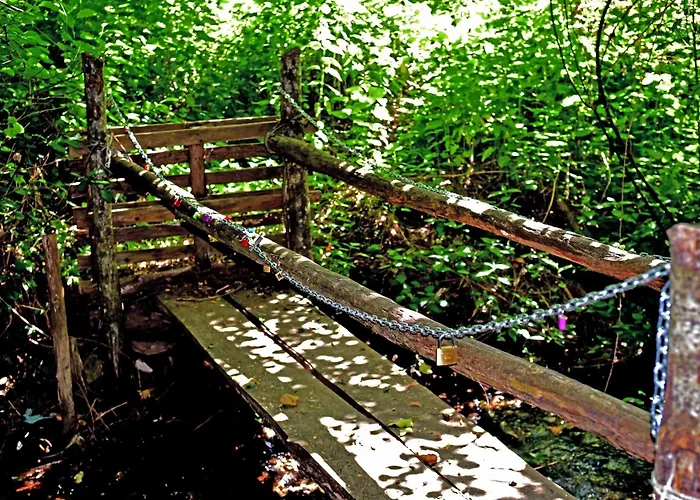 Chalé Nel Bosco - Tenuta Bocchineri