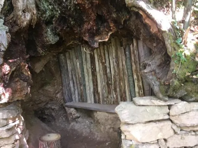 Nel Bosco - Tenuta Bocchineri * Rogliano