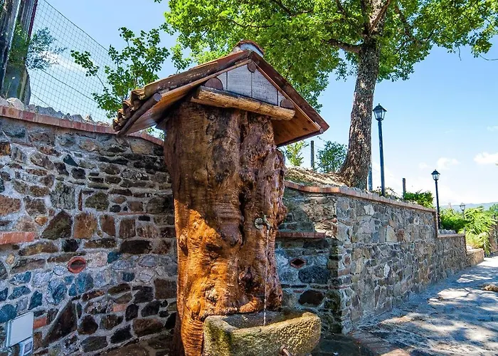 Nel Bosco - Tenuta Bocchineri Rogliano