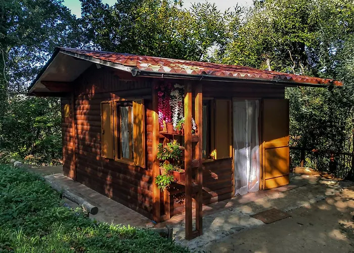 木屋 Nel Bosco - Tenuta Bocchineri *