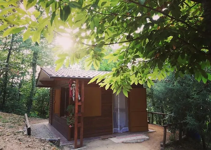 Nel Bosco - Tenuta Bocchineri Chalé Rogliano